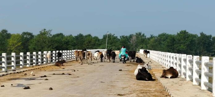 Messenger_creation_805E0296-A8B9-46A5-B136-AD4022FE0721